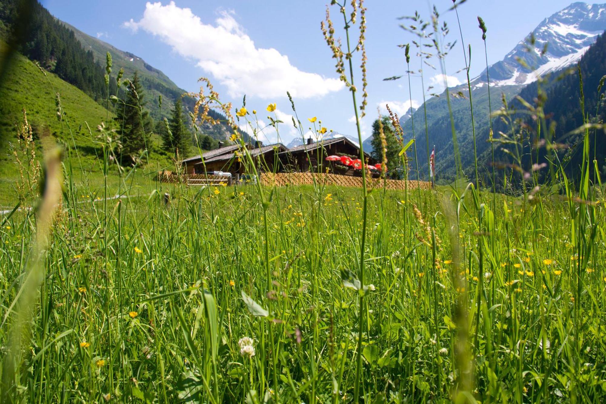 Senninger Alm Bed & Breakfast ฮอลเลอร์บาค อิม พินซ์เกา ภายนอก รูปภาพ